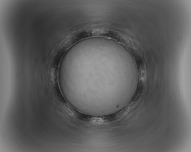 X0000116880519200912221428