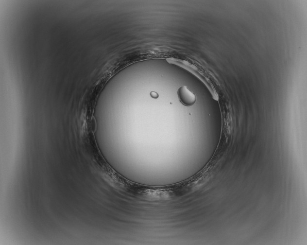 X0000116880520200912221428