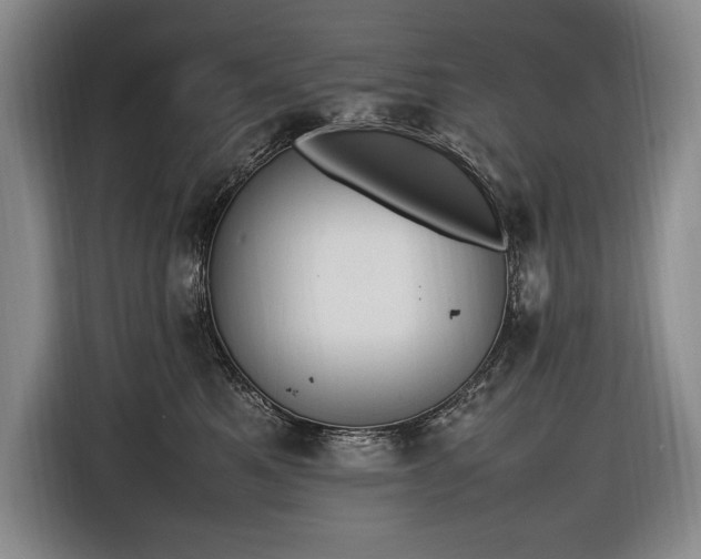 X0000116880521200912221428