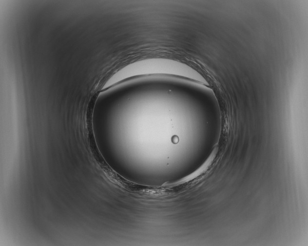 X0000116880524200912221428