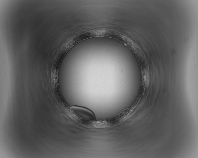 X0000116880525200912221428