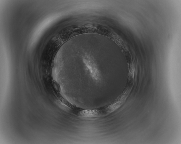 X0000116880526200912221428