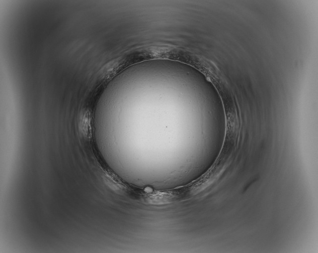 X0000116880527200912221428