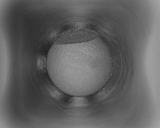 X0000116880528200912221428