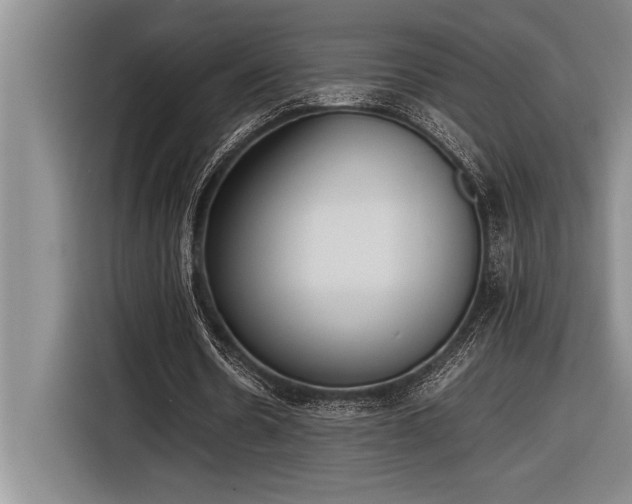 X0000116880530200912221427