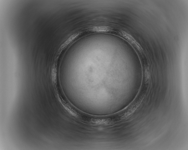 X0000116880533200912221427