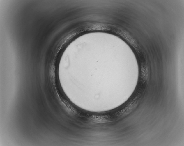 X0000116880534200912221427
