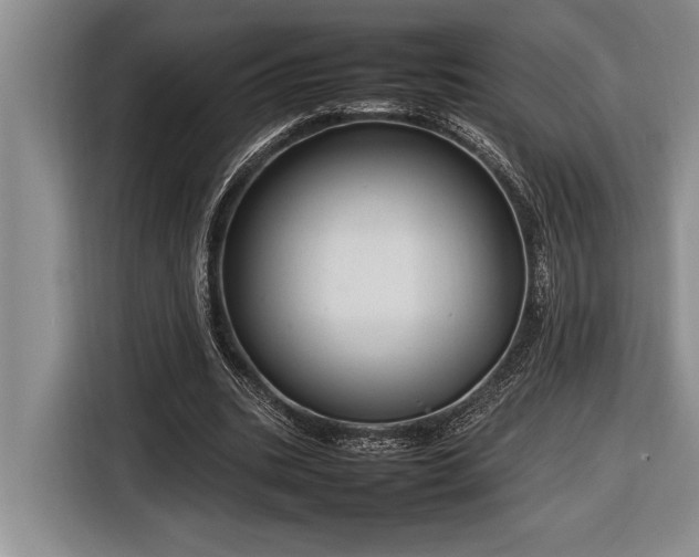 X0000116880535200912221427