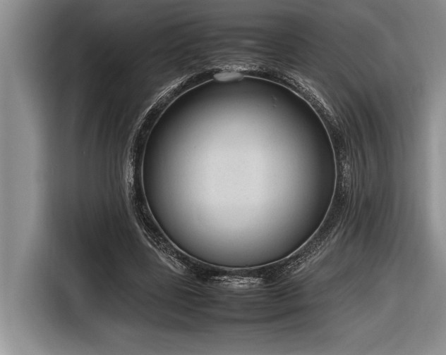 X0000116880539200912221427