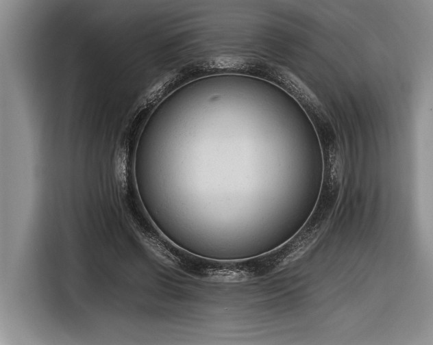 X0000116880542200912221427