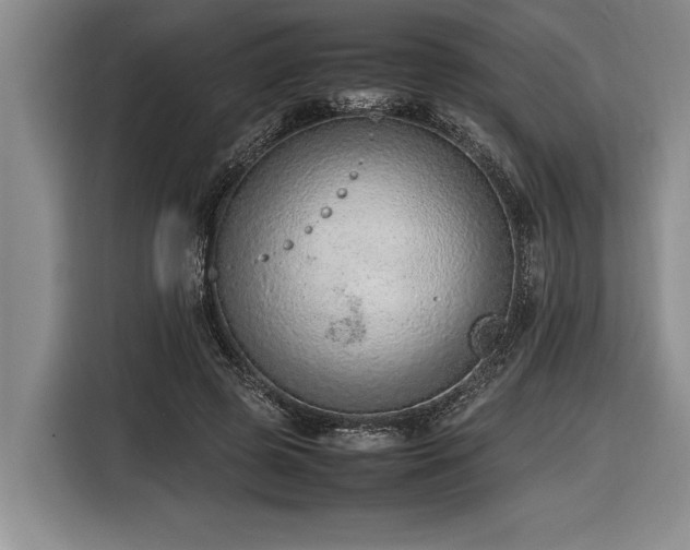 X0000116880545200912221427