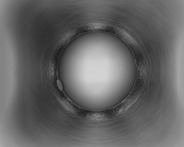 X0000116880546200912221427