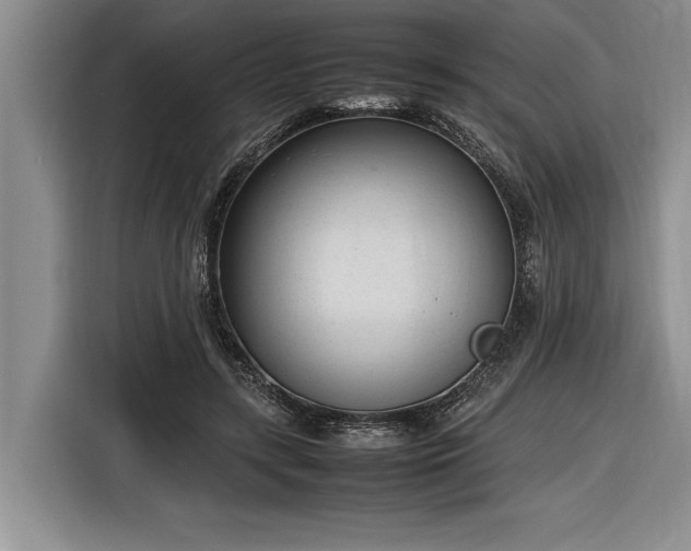 X0000116880547200912221427