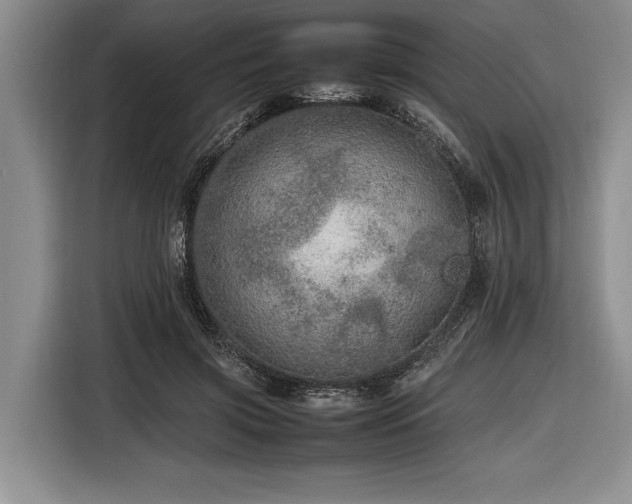 X0000116880549200912221427