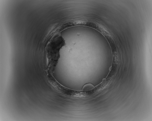 X0000116880550200912221427
