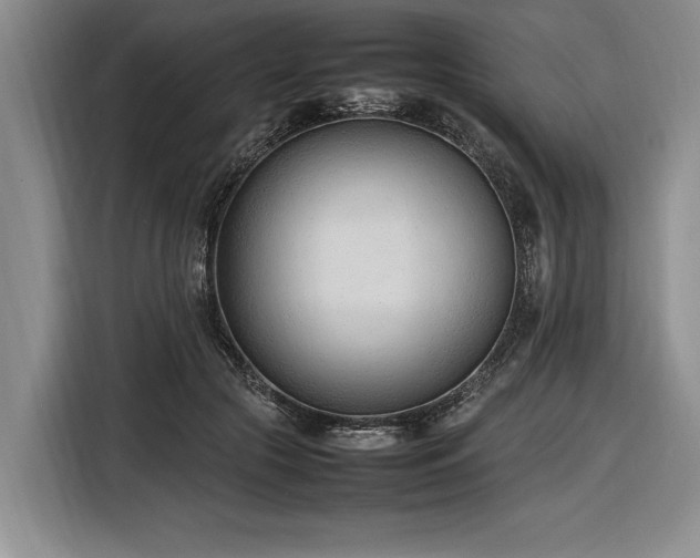 X0000116880553200912221427