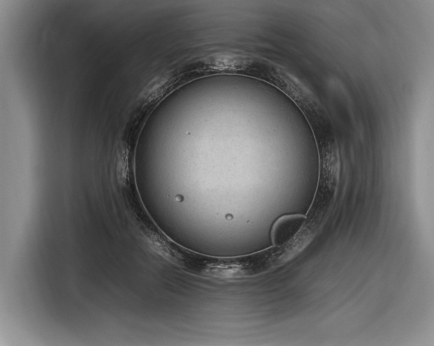 X0000116880554200912221428