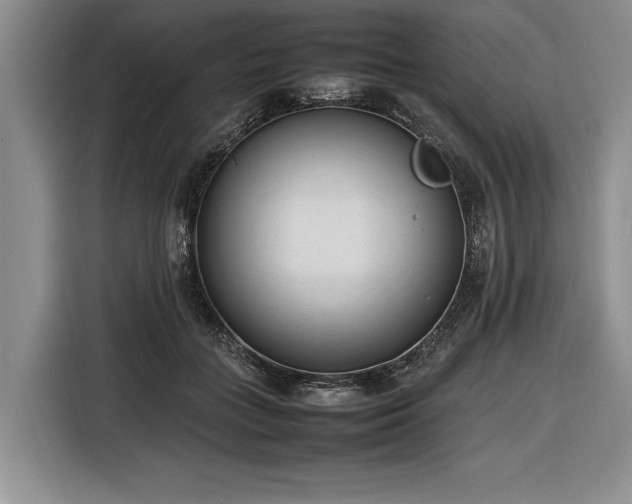 X0000116880555200912221428