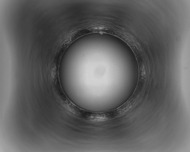 X0000116880559200912221428