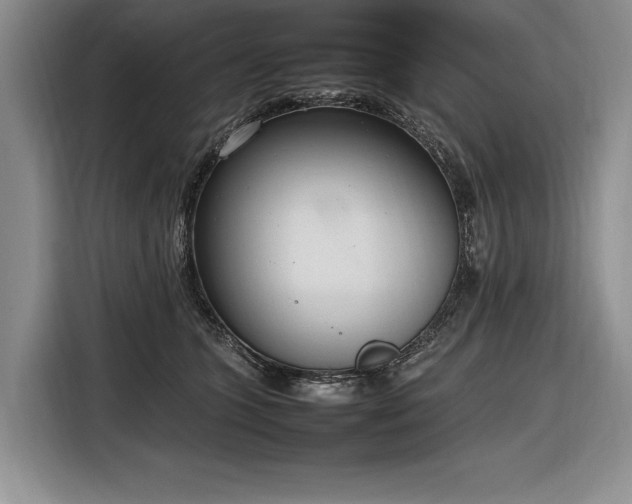 X0000116880563200912221428