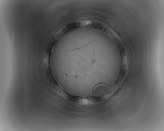 X0000116880565200912221428