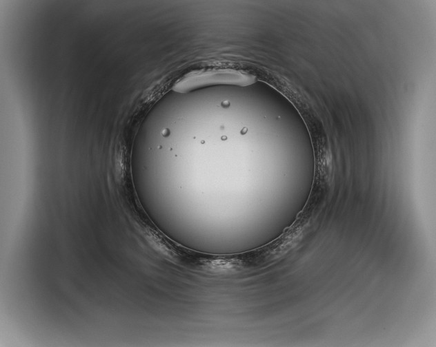 X0000116880566200912221428
