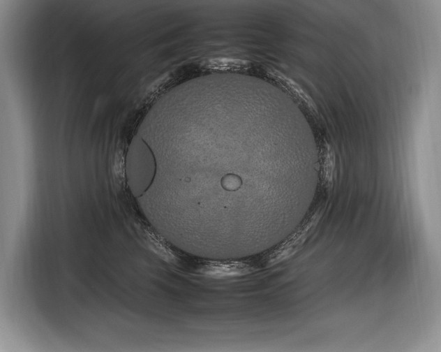X0000116880569200912221428