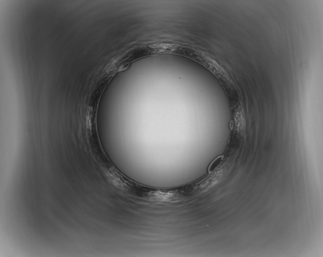 X0000116880570200912221428