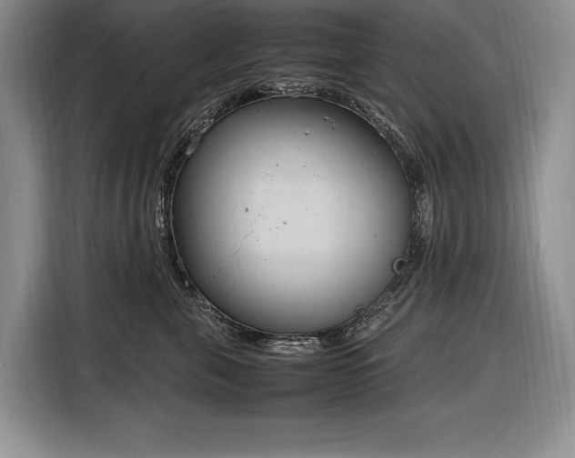 X0000116880571200912221428