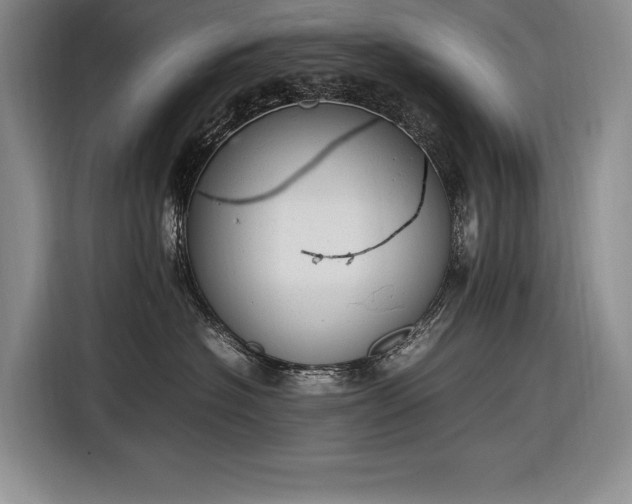 X0000116880574200912221428