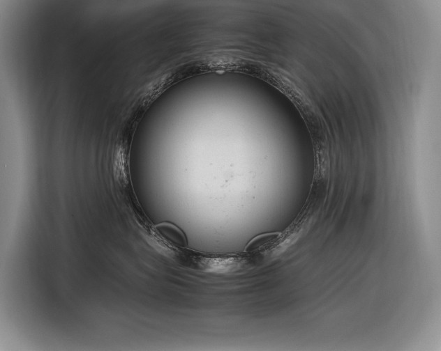 X0000116880575200912221428