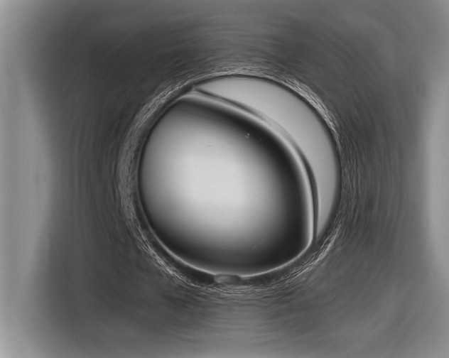 X0000116880577200912221427