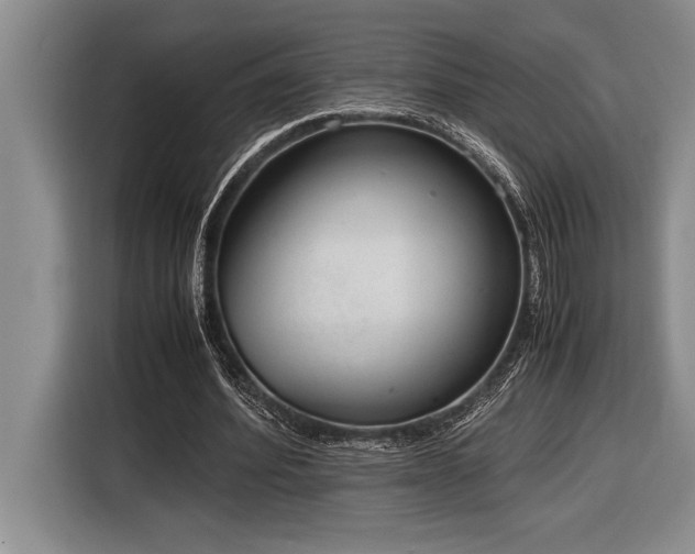 X0000116880580200912221427