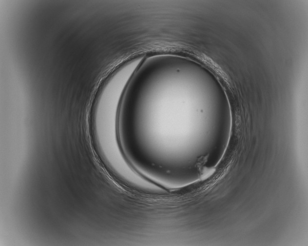 X0000116880581200912221427