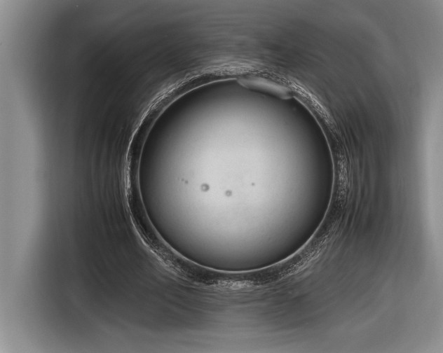 X0000116880582200912221427