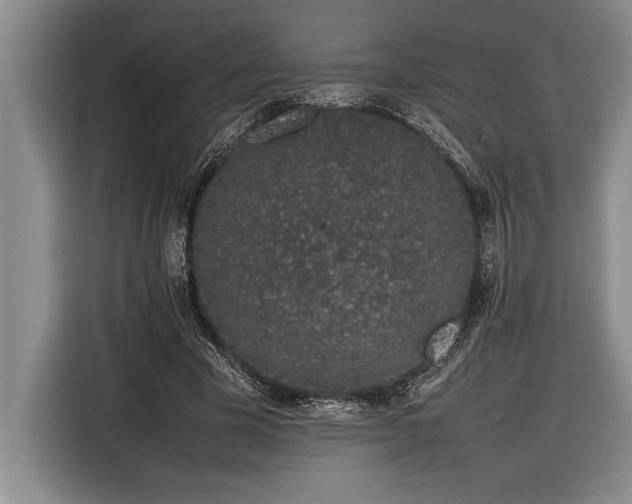 X0000116880585200912221427