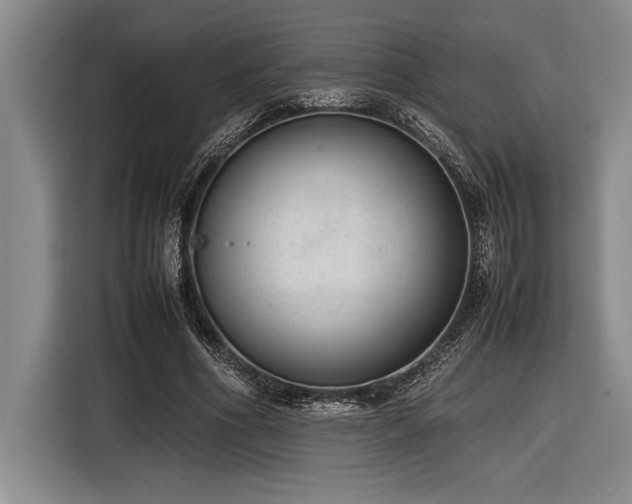 X0000116880586200912221427
