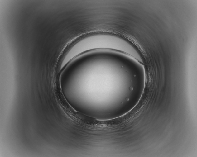 X0000116880588200912221427