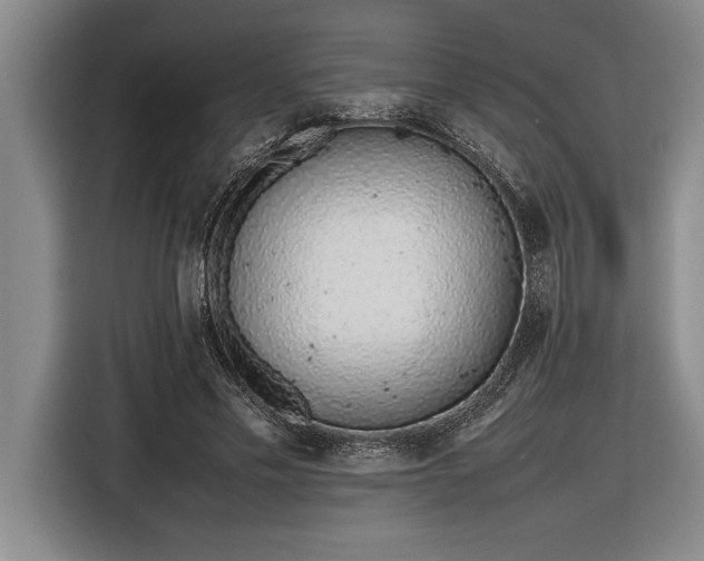 X0000116880589200912221427