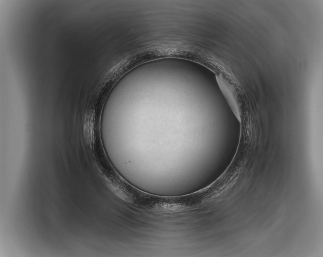 X0000116880590200912221427