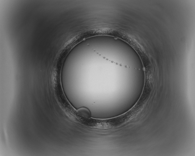 X0000116880591200912221427