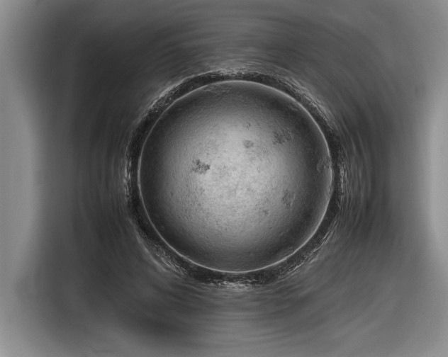 X0000116880592200912221427