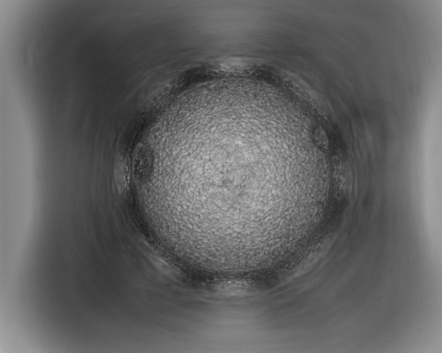 X0000116880593200912221427