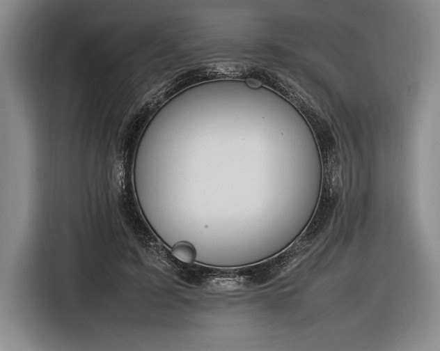 X0000116880595200912221427