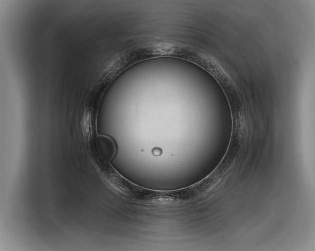 X0000116880598200912221427