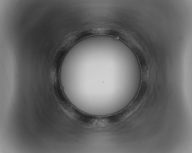 X0000116880599200912221427