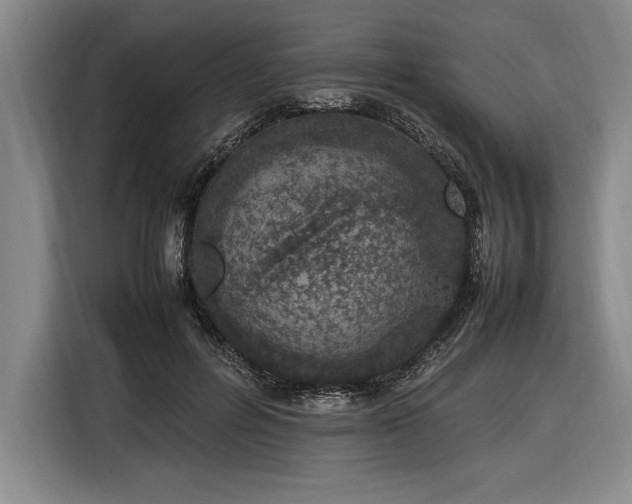 X0000116880600200912221427