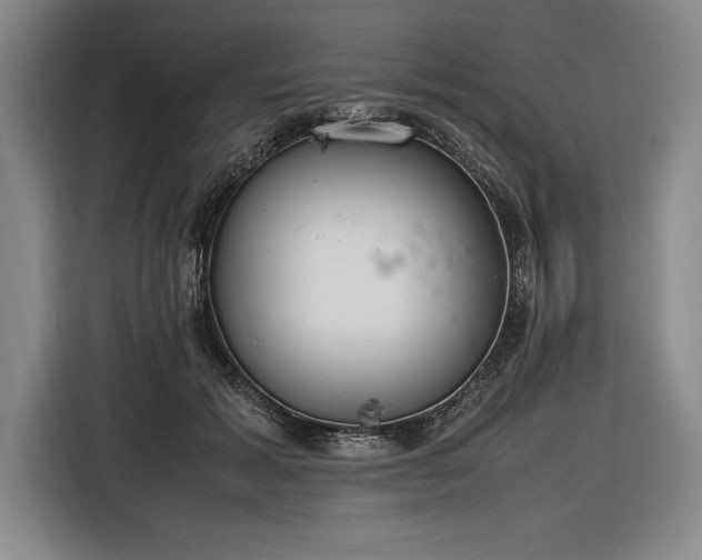 X0000116880605200912221427