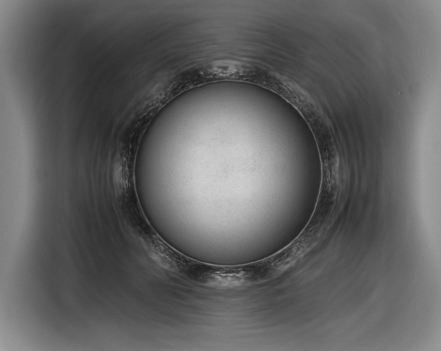 X0000116880606200912221427