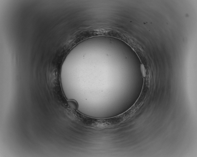 X0000116880608200912221427